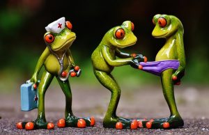 frogs-1672890__340